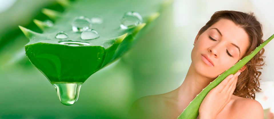 You are currently viewing 25 ways for Internal uses Aloe vera