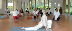 Read more about the article YOGA and YOGA. Не слушайте шарлатанов